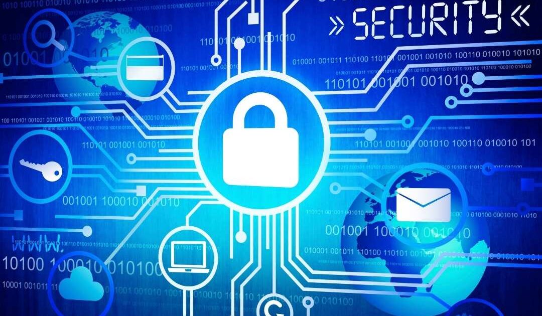 Invield – From Local Innovation to Global Cybersecurity Impact